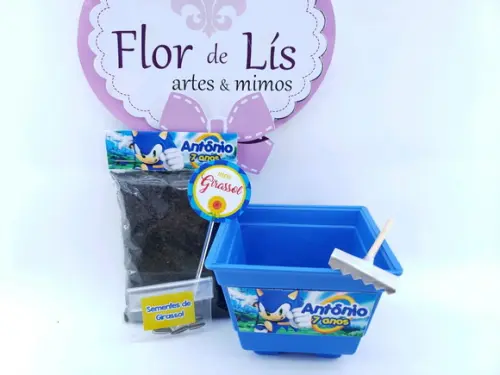 Kit Plantação Lembrancinha Ecológica Sonic