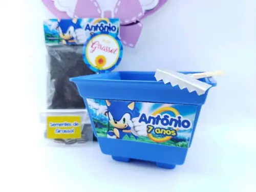 Kit Plantação Lembrancinha Ecológica Sonic