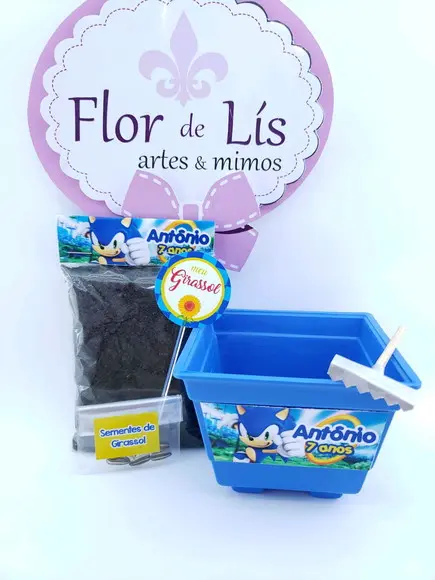 Kit Plantação Lembrancinha Ecológica Sonic