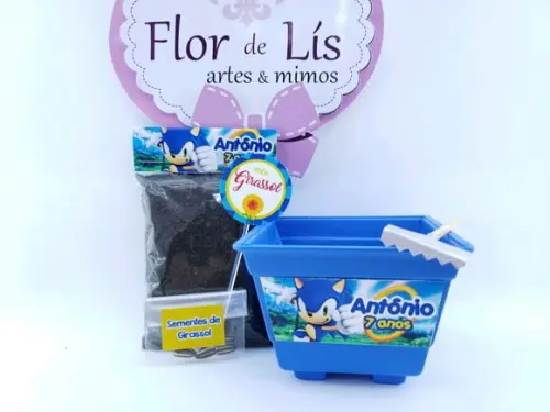 Kit Plantação Lembrancinha Ecológica Sonic