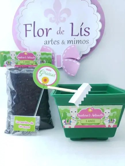 Kit Plantação Lhama e Cacto Ecológico