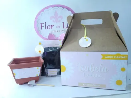 Kit Plantação Margarida Lembrancinha na Maleta Caixinha