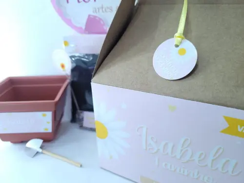 Kit Plantação Margarida Lembrancinha na Maleta Caixinha