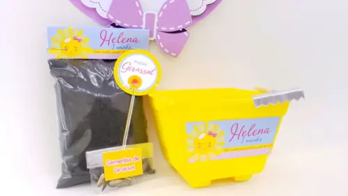 Kit Plantação Meu Raio de Sol