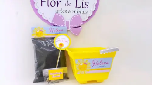 Kit Plantação Meu Raio de Sol