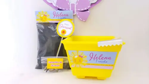 Kit Plantação Meu Raio de Sol