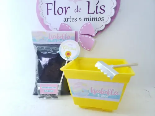 Kit Plantação Pop It Candy Color Ecológico