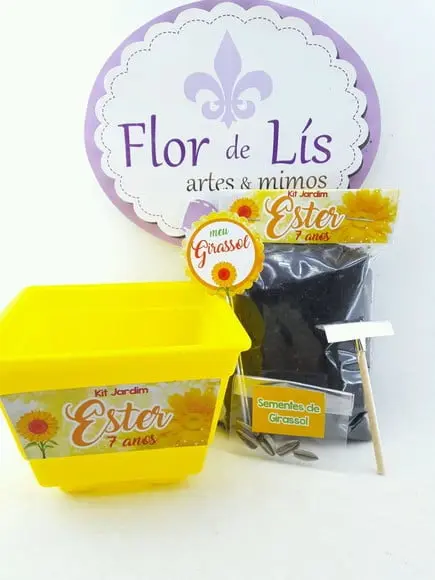 Kit Plantação Primavera Flores