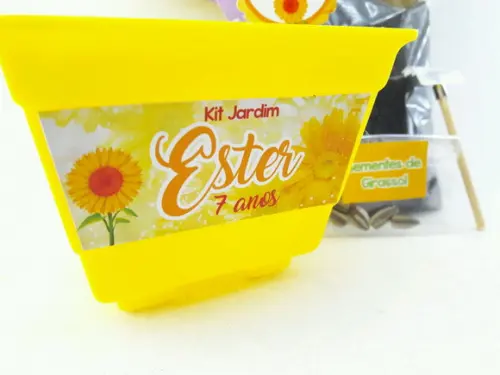 Kit Plantação Primavera Flores