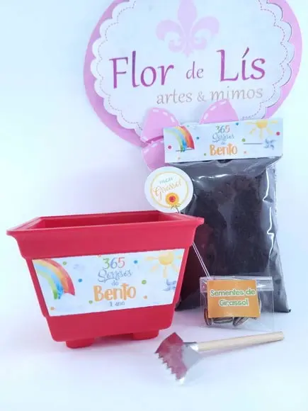 Kit Plantio 365 Sorrisos Primeira Volta ao Sol Vamos Plantar