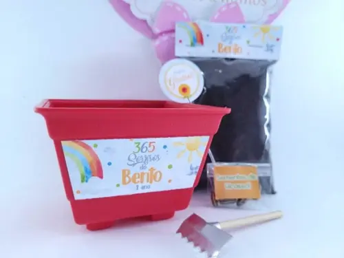 Kit Plantio 365 Sorrisos Primeira Volta ao Sol Vamos Plantar