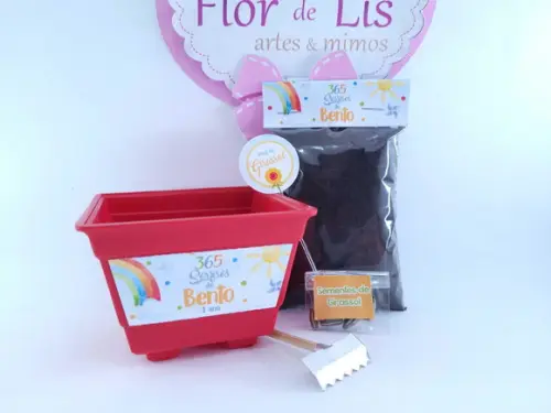 Kit Plantio 365 Sorrisos Primeira Volta ao Sol Vamos Plantar
