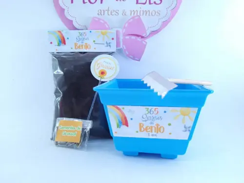 Kit Plantio Girassol 365 Sorrisos Primeira Volta ao Sol