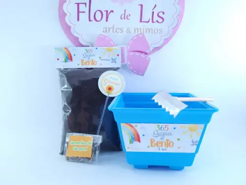 Kit Plantio Girassol 365 Sorrisos Primeira Volta ao Sol