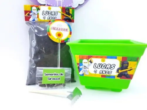 Kit Plantio Personalizado Lego Ninja Go