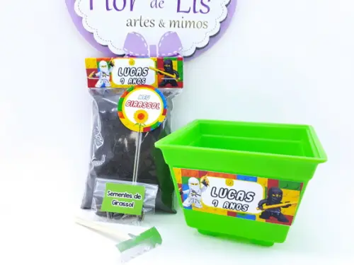 Kit Plantio Personalizado Lego Ninja Go