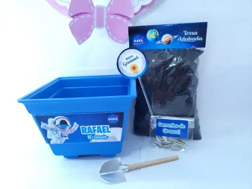 Kit Vamos Plantar Astronauta Nasa Personalizado Jardinagem