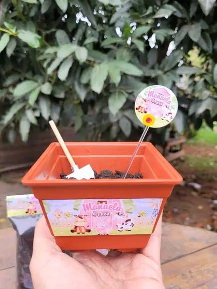 Lembrancinha Fazendinha Rosa Kit Jardim para Plantar
