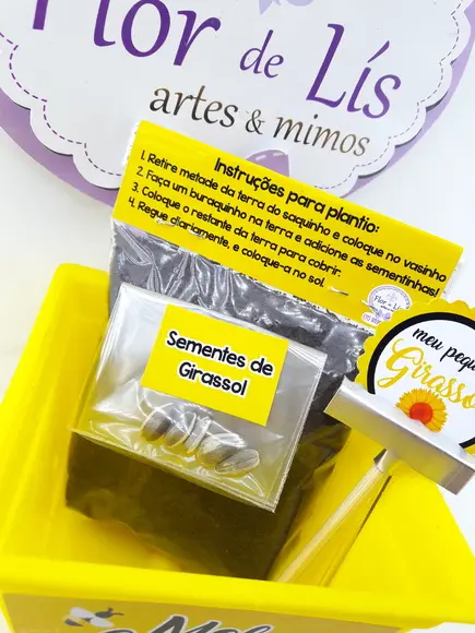 Lembrancinha Jardinagem Festa Abelha Kit para Plantar