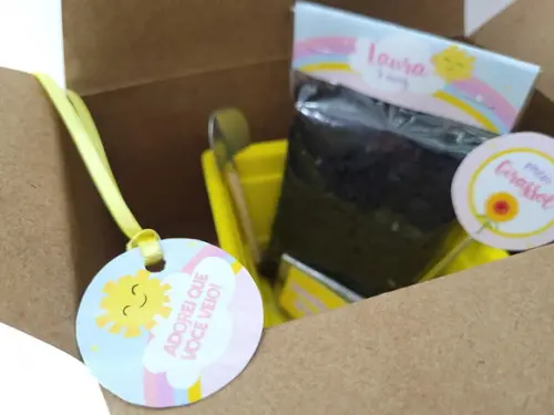 Lembrancinha Personalizada Plantio Arco Íris e Raio de Sol