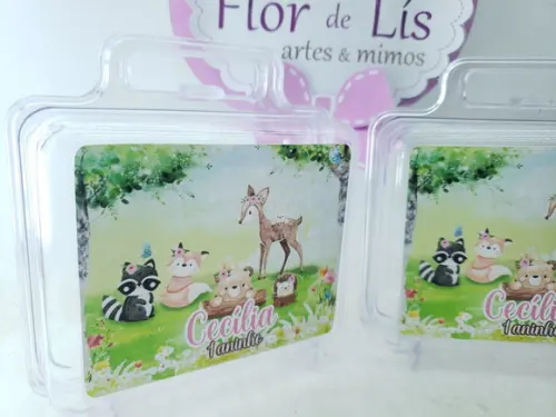 Maletinha Acrílica Personalizada Bosque Encantado Menina