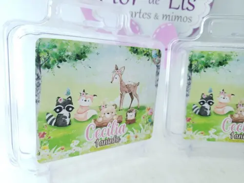 Maletinha Acrílica Personalizada Bosque Encantado Menina
