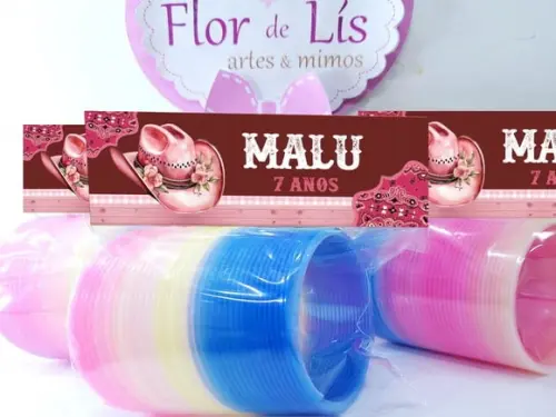 Mola Maluca Festa Boiadeira Fazendinha Rosa Lembrancinha