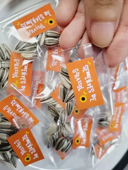 Sementes de Girassol para Kits Plantação Fazendinha