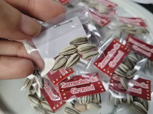 Sementes de Girassol para Kits Plantação Fazendinha