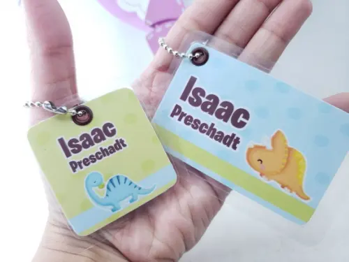 Tag Chaveiro Escolar Dinossauro para Mochila e Lancheira