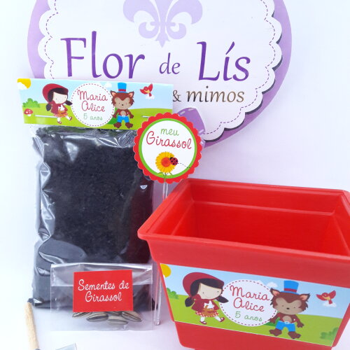 Kit Jardim Ecológico Chapeuzinho Vermelho para Lembrancinha de A