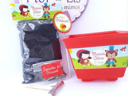 Kit Jardim Ecológico Chapeuzinho Vermelho para Lembrancinha de A