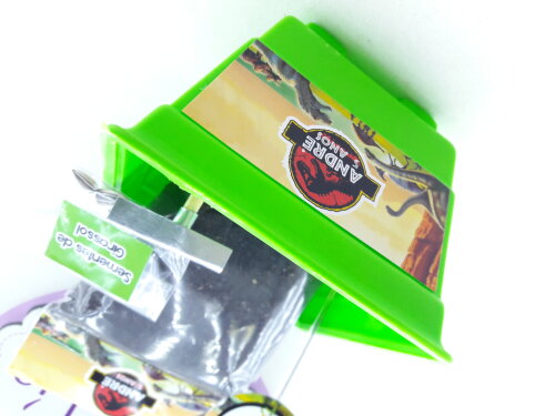 Kit Plantio Dinossauros