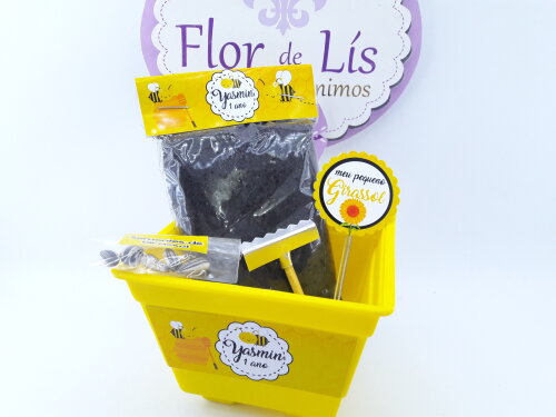 Kit Plantação Jardim das Abelhas Lembrancinha Abelhinha