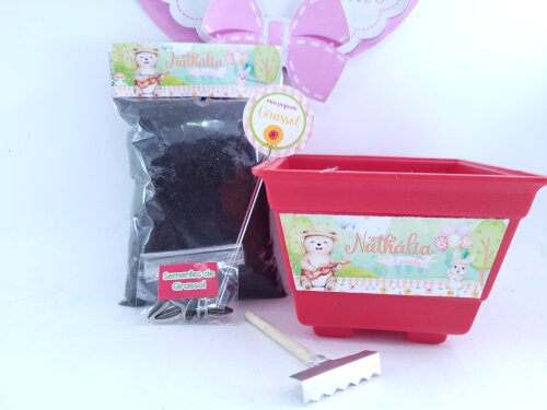 Kit Jardim Encantado Menina Plantio Ecológico