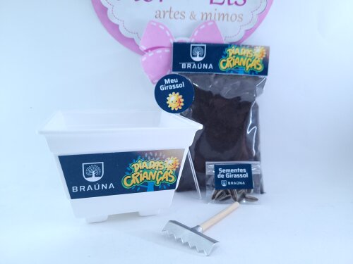 Kit Jardinagem Plantação Brinde Dia das Crianças Empresa