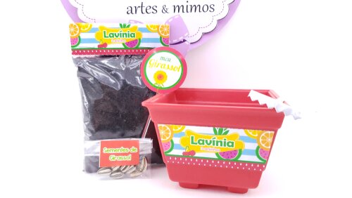 Kit Jardinagem Plantação Quitandinha Festa Frutinhas Feira