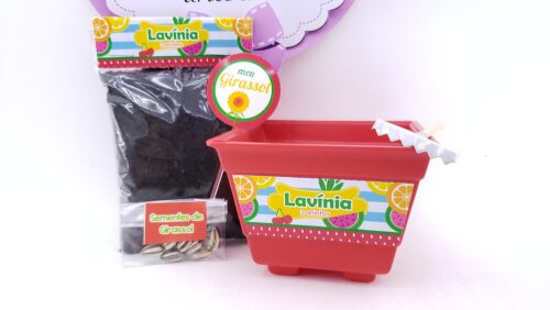 Kit Jardinagem Plantação Quitandinha Festa Frutinhas Feira