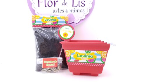 Kit Jardinagem Plantação Quitandinha Festa Frutinhas Feira