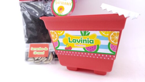 Kit Jardinagem Plantação Quitandinha Festa Frutinhas Feira