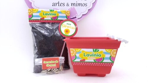 Kit Jardinagem Plantação Quitandinha Festa Frutinhas Feira