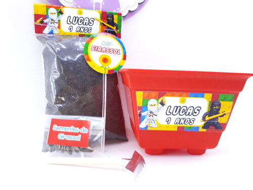 Kit Plantação Lego Ninja Go