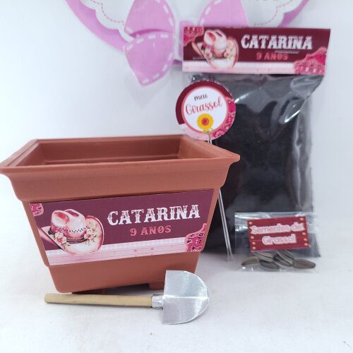 Kit Plantação Lembrancinha Personalizada Boiadeira Festa Fazend