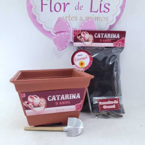 Kit Plantação Lembrancinha Personalizada Boiadeira Festa Fazend