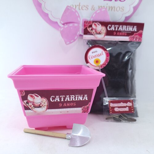 Kit Plantio Festa Boiadeira Lembrancinha Fazendinha Rosa