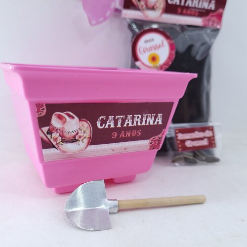 Kit Plantio Festa Boiadeira Lembrancinha Fazendinha Rosa