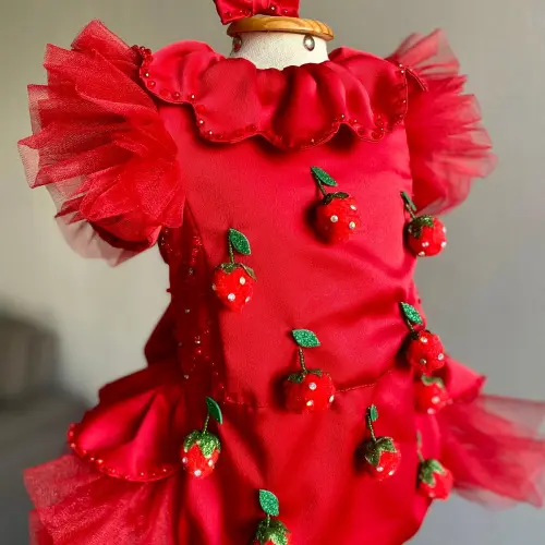 Romper Moranguinho (frutas) Luxo