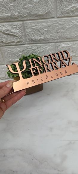 Placa Decorativa Profissão Personalizada Acrílico Bronze