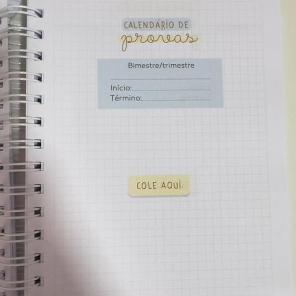 Agenda Escolar Capivara Menino 2025 Datada