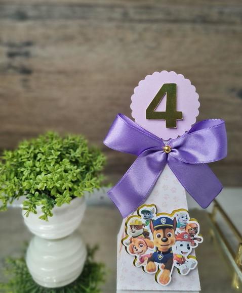 Kit 15 Personalizados Patrulha Canina Menina